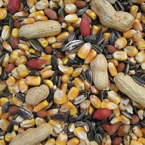 Coles Critter Munchies, Size: 5 lb bag