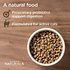 Diamond Naturals Active Chicken Meal &amp; Rice Formula Dry Cat Food
