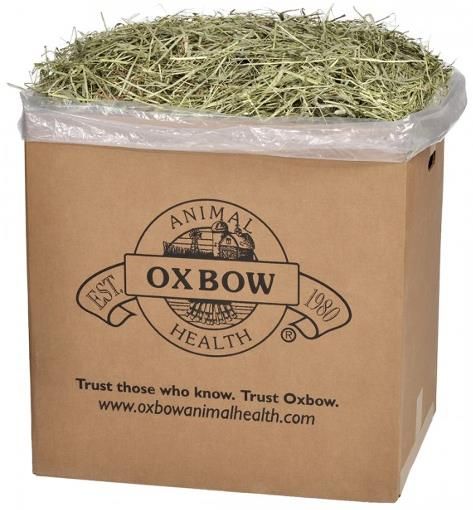Oxbow Orchard Grass **REWARDS BUY 6 GET 1 FREE**