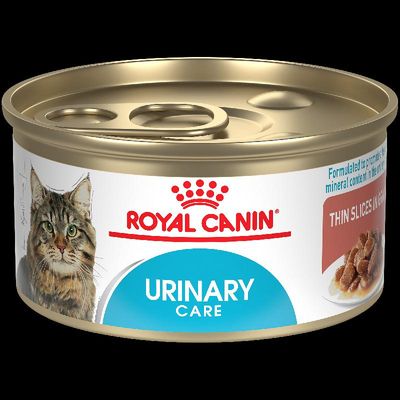 Royal Canin Feline Care Nutrition Urinary Care Thin Slices in Gravy Wet Cat Food,