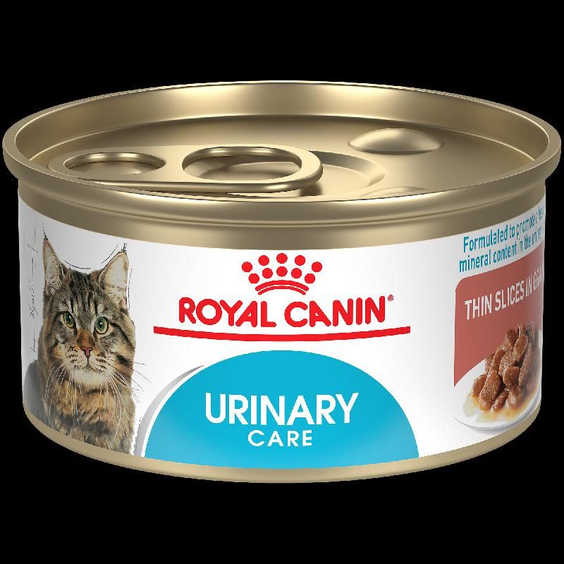 Royal Canin Feline Care Nutrition Urinary Care Thin Slices in Gravy Wet Cat Food,, Size: 3 oz cans