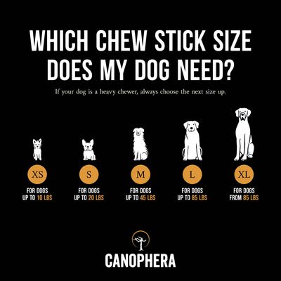 CANOPHERA LLC - Dog Chew Stick Made of Coffee Wood Various Sizes