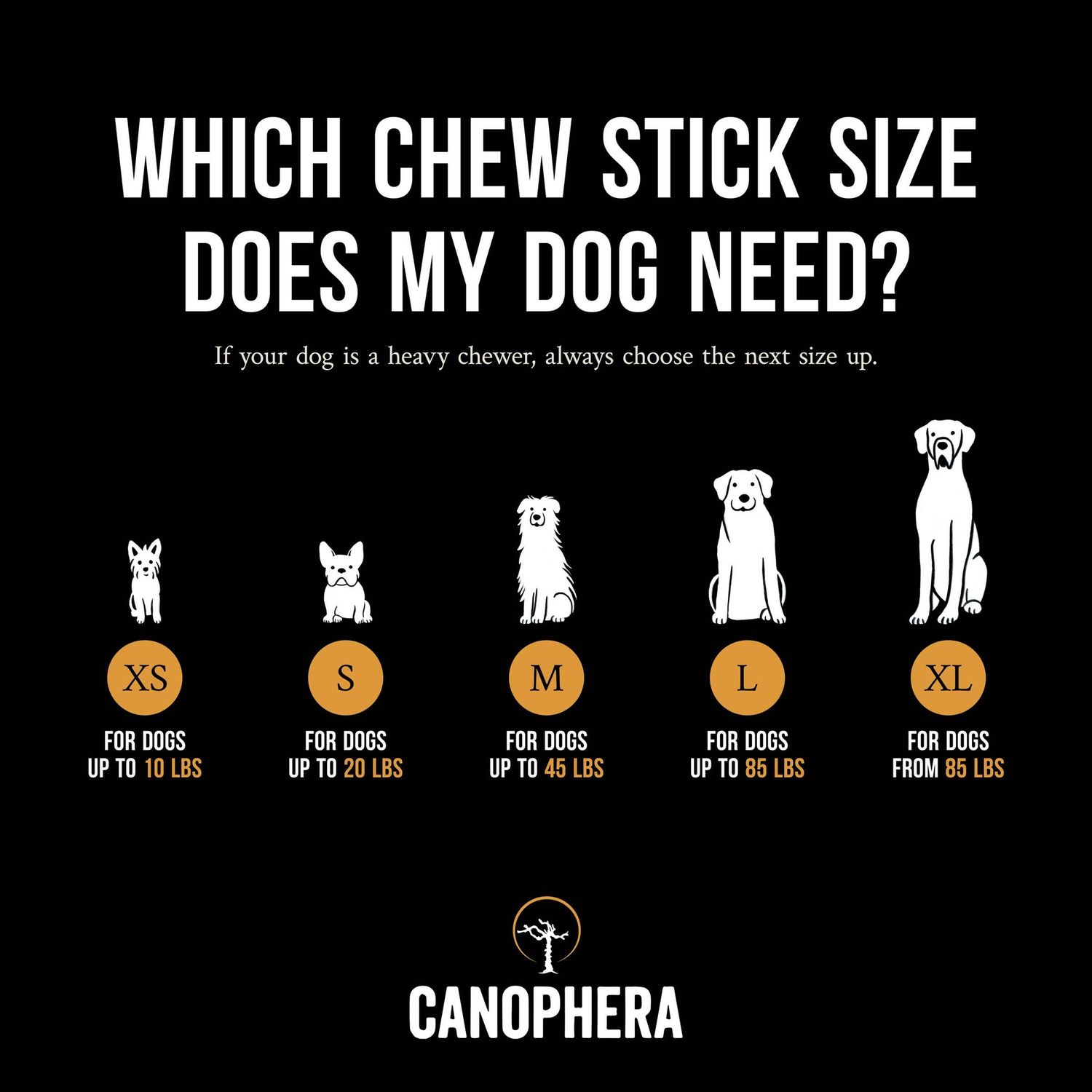 CANOPHERA LLC - Dog Chew Stick Made of Coffee Wood Various Sizes