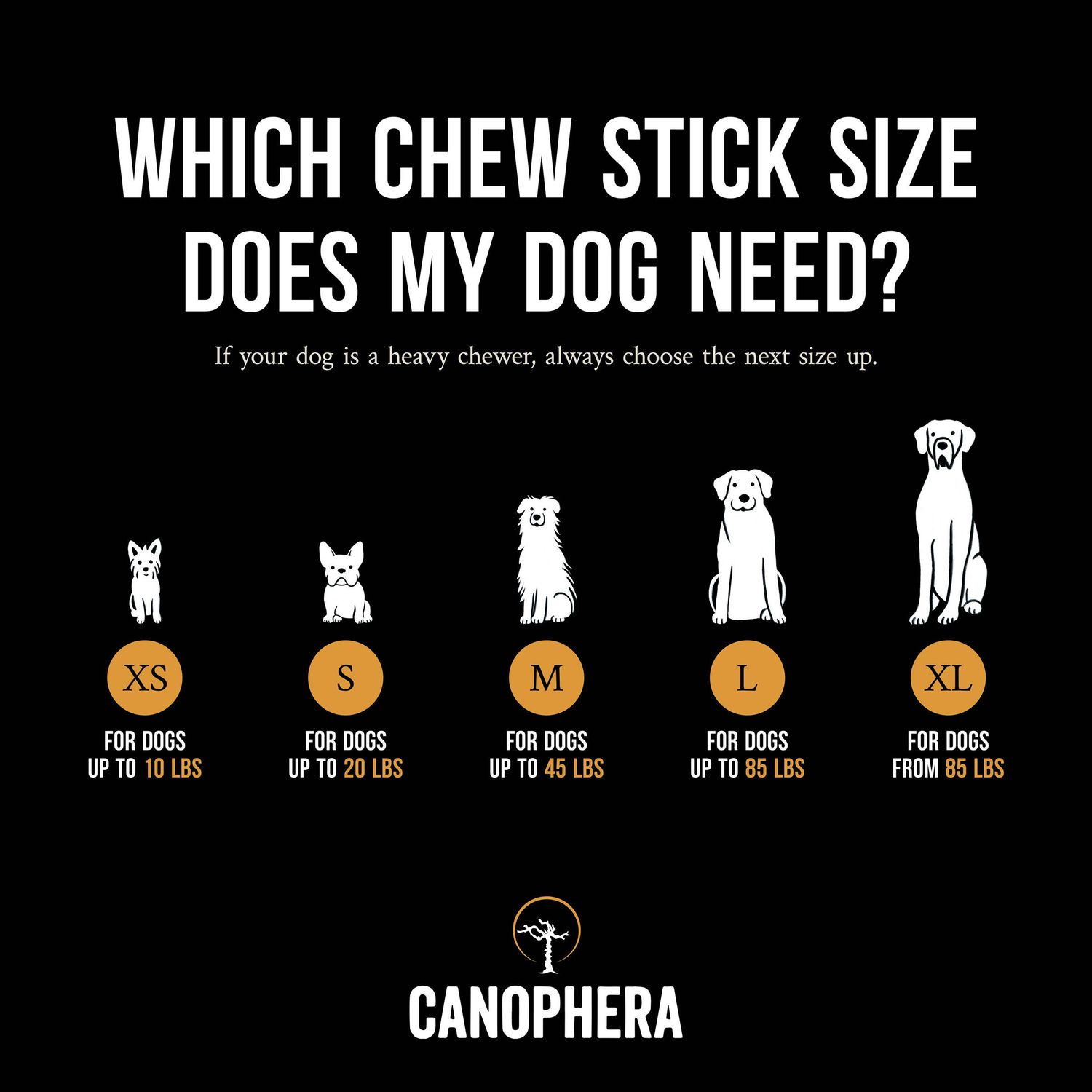 CANOPHERA LLC - Dog Chew Stick Made of Coffee Wood Various Sizes