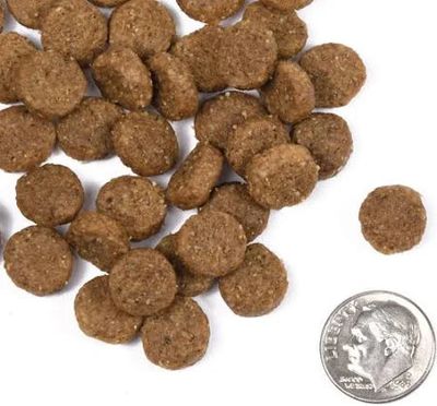 Fromm Whitefish &amp; Rice Classic Adult Dog Kibble