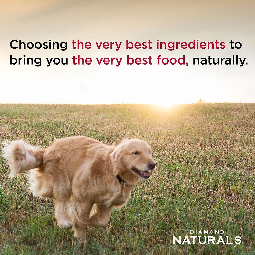 Diamond Naturals Senior Formula Dry Dog Food