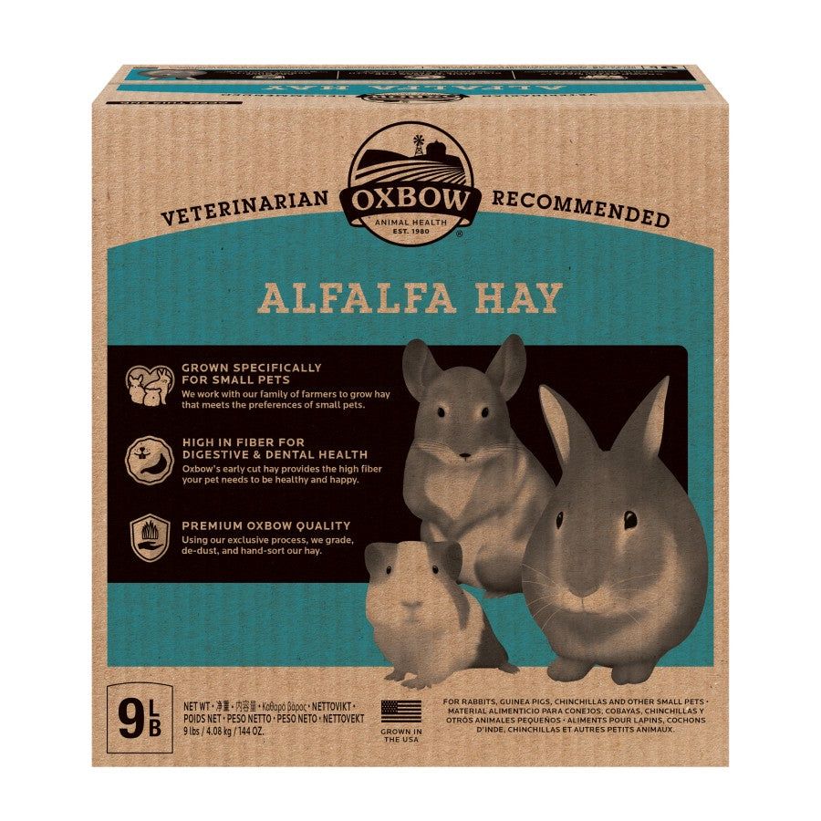 Oxbow Alfalfa Hay Bagged Hay for Small Animals **ELIGIBLE REWARDS PROGRAM***, Size: 9 lb box