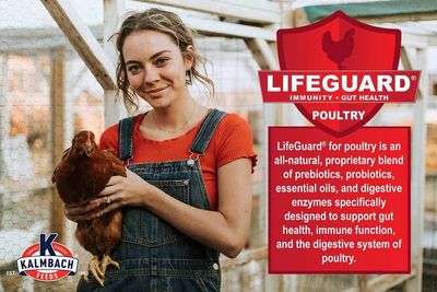 Kalmbach Feeds All Natural 20% Protein Flock Maker Crumbles multi sizes