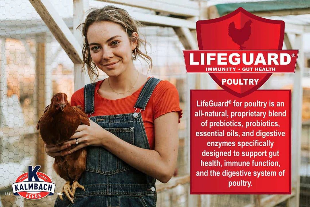 Kalmbach Feeds All Natural 20% Protein Flock Maker Crumbles multi sizes