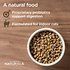 Diamond Naturals Indoor Formula Dry Cat Food
