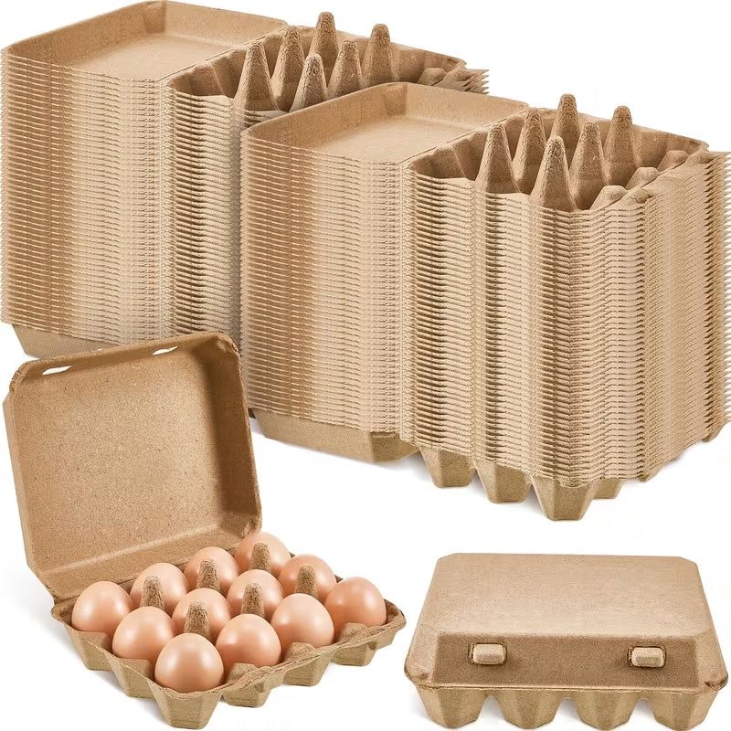 Egg Cartons Variety
