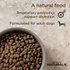 Diamond Naturals Beef Meal &amp; Rice Formula Adult Dry Dog Food, 40-lb bag
