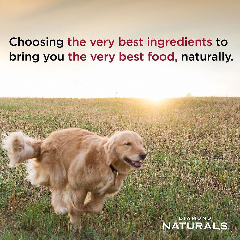 Diamond Naturals Beef Meal &amp; Rice Formula Adult Dry Dog Food, 40-lb bag