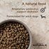 Diamond Naturals Beef Meal &amp; Rice Formula Adult Dry Dog Food, 40-lb bag