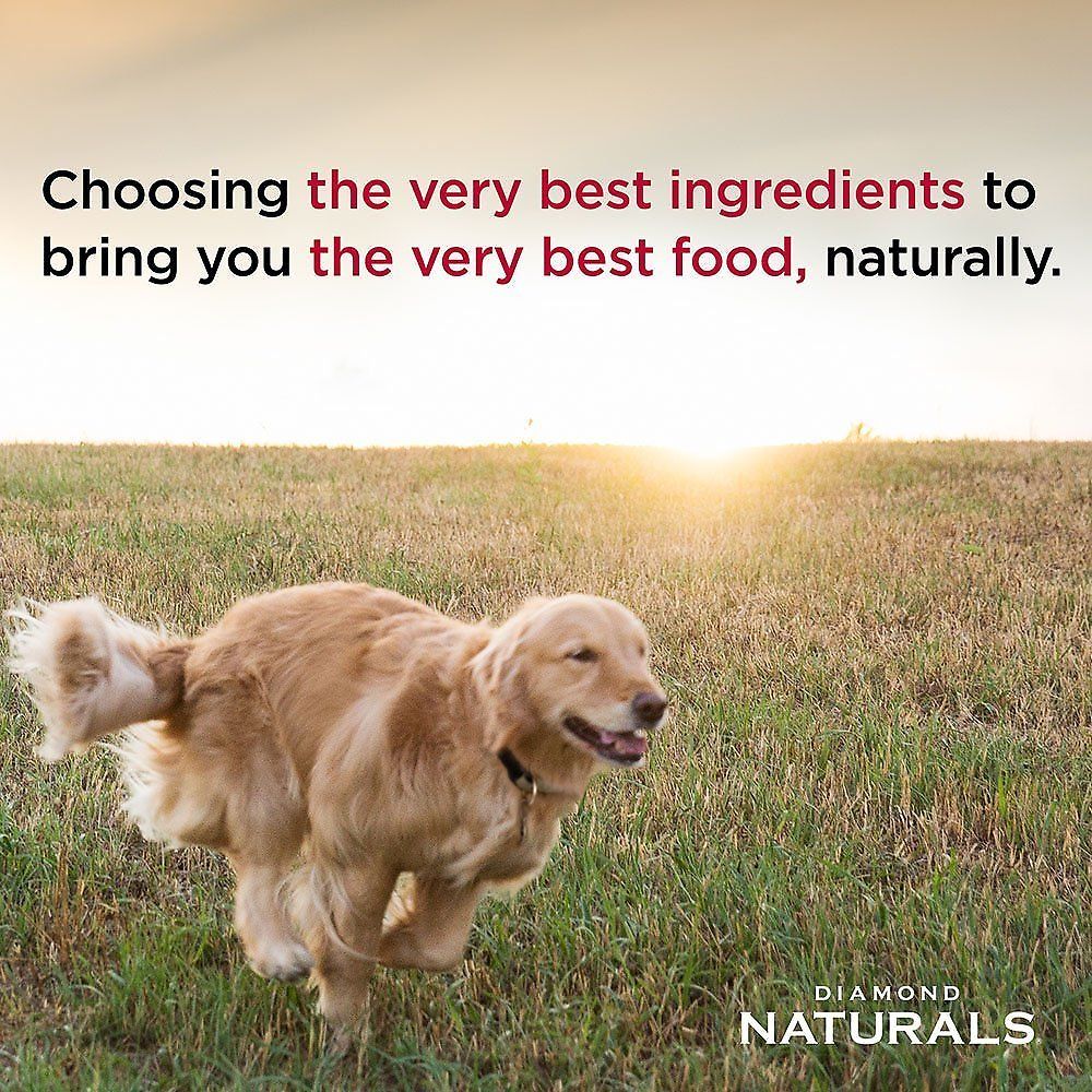 Diamond Naturals Beef Meal &amp; Rice Formula Adult Dry Dog Food, 40-lb bag