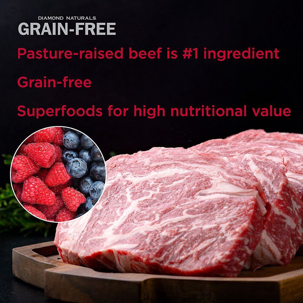Diamond Naturals Grain-Free Beef &amp; Sweet Potato Formula Dry Dog Food
