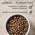 Diamond Naturals Large Breed Puppy Formula Dry Dog Food