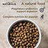 Diamond Naturals Large Breed Puppy Formula Dry Dog Food