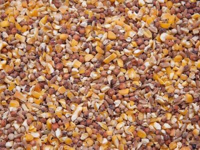 3 Grain Scratch for Chickens, Ducks and Poultry Feed