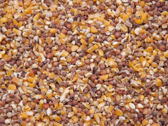 3 Grain Scratch for Chickens, Ducks and Poultry Feed, Size: 10 lb bag