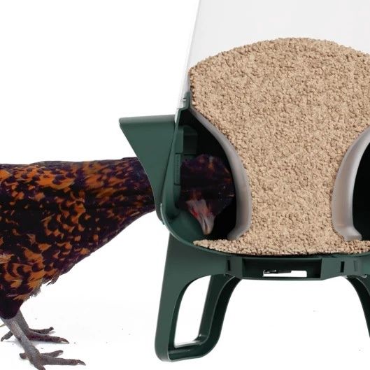 Omlet No Waste Chicken Feeder, 12 lb of feed