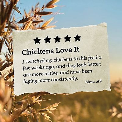 NatureWise Layer Pellet 17% Chicken Feed 50lb bag