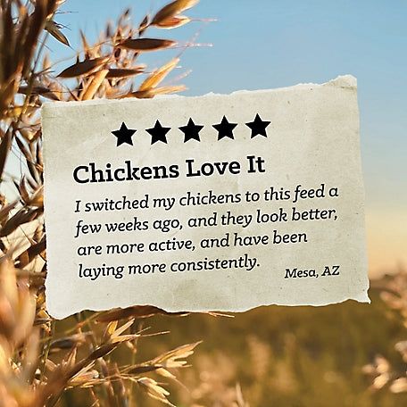 NatureWise Layer Pellet 17% Chicken Feed 50lb bag