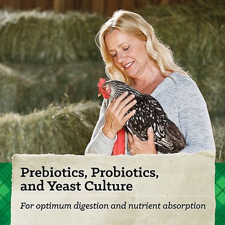 NatureWise Layer Pellet 17% Chicken Feed 50lb bag