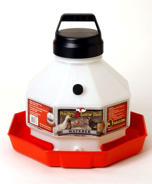 Little Giant Poultry &amp; Gamebird Waterer, 3 Gallon
