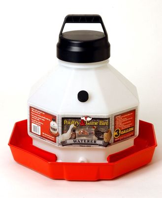 Little Giant Poultry &amp; Gamebird Waterer, 3 Gallon