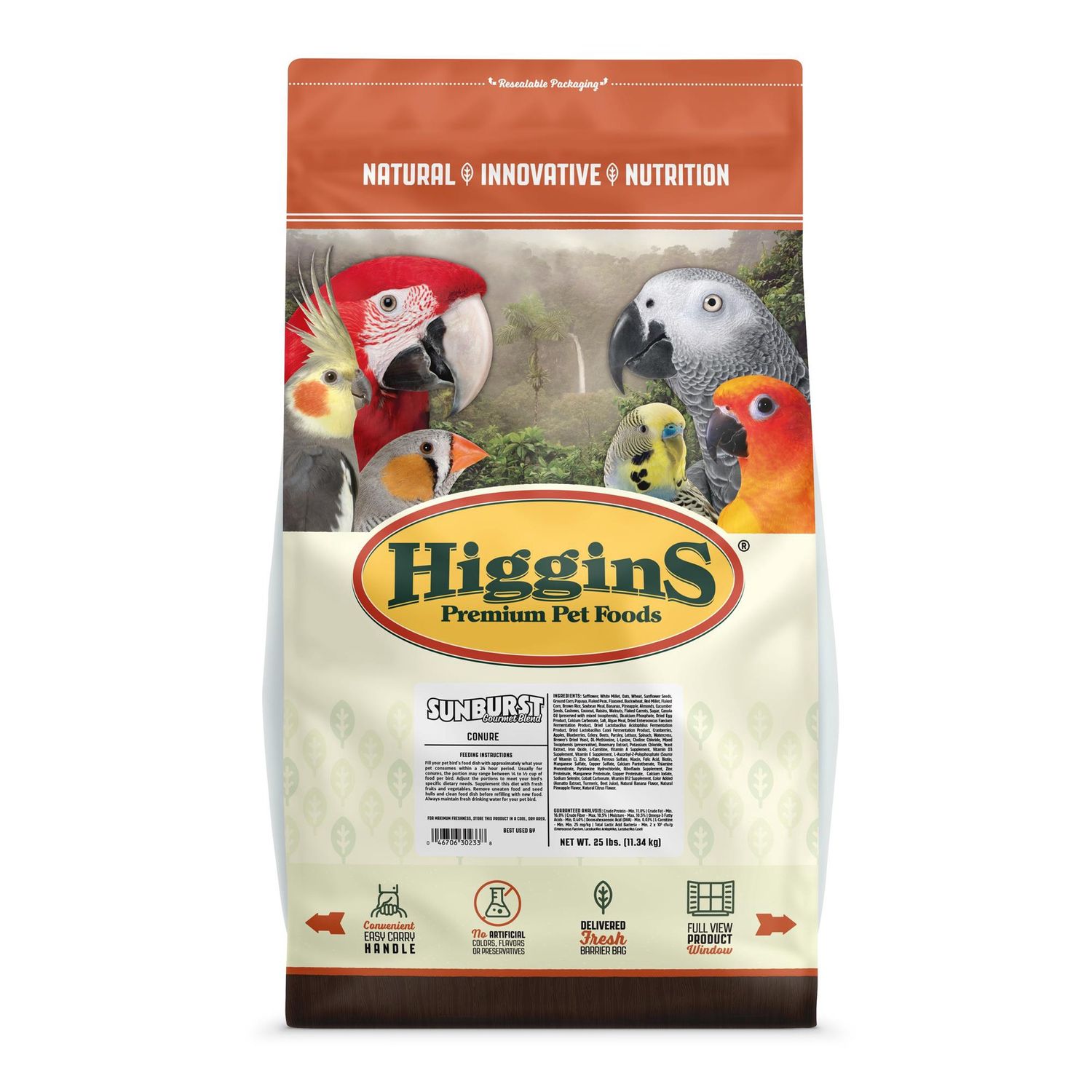 Higgins Sunburst Conure