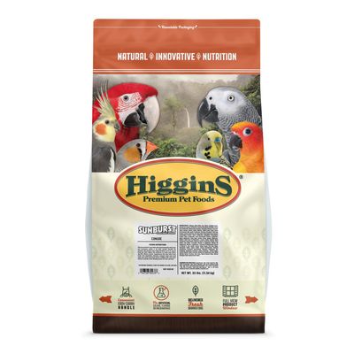 Higgins Sunburst Conure