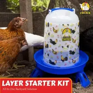 5L Poultry Drinker w/ Legs, Floral Design