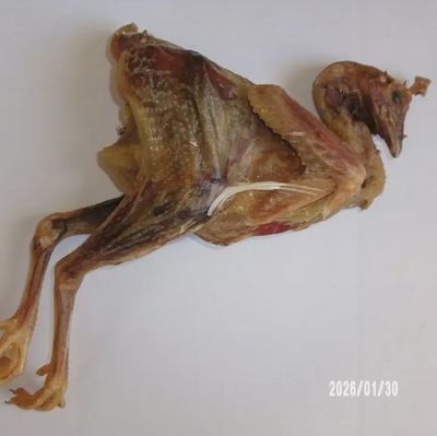 Whole Chicken Dehydtared