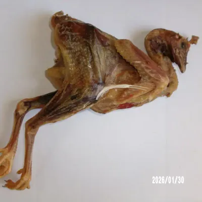 Whole Chicken Dehydtared