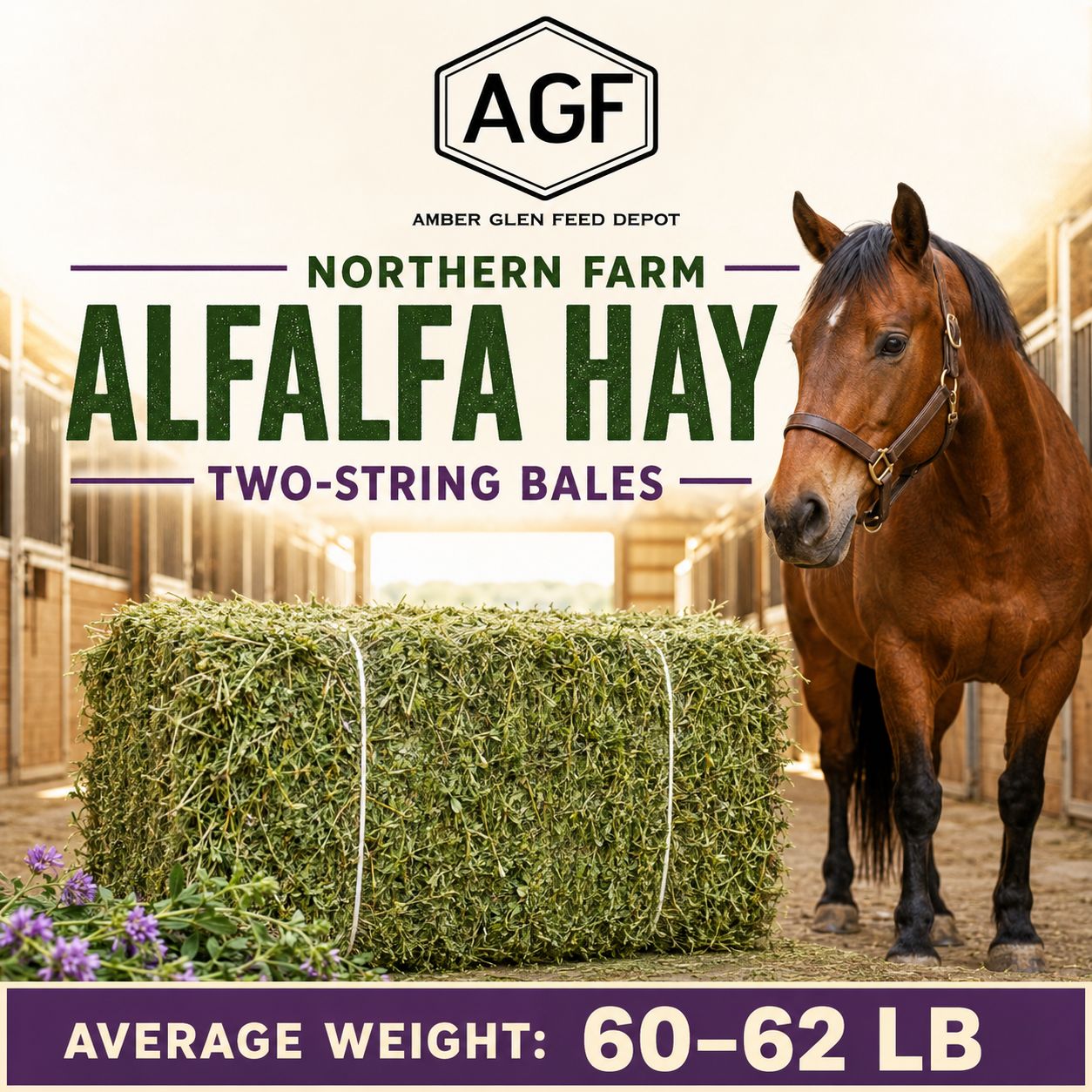 Alfalfa Hay 2 String Bales weighing 60lb Forage hay for livestock