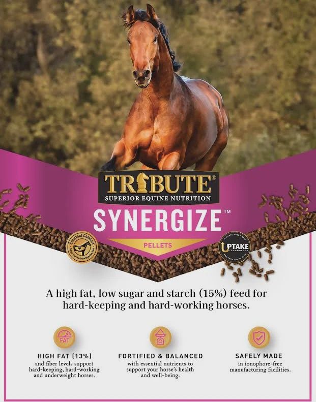 Tribute Synergize Low NSC, High Fat Pelleted Horse Feed, 50 lb bag