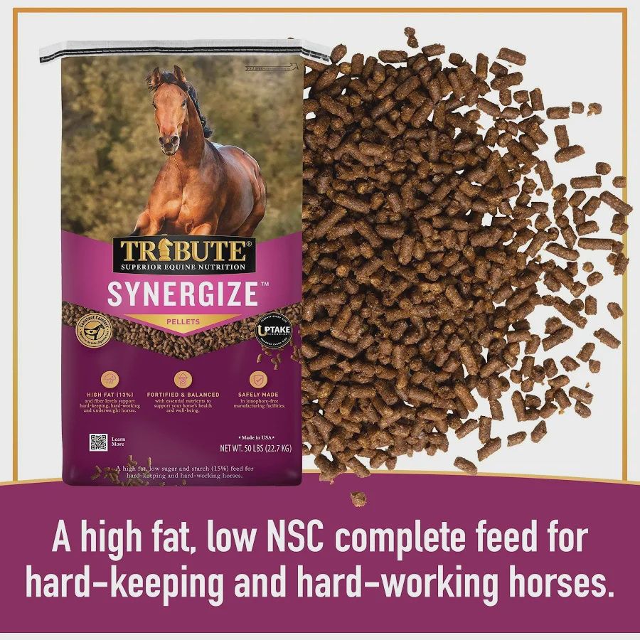 Tribute Synergize Low NSC, High Fat Pelleted Horse Feed, 50 lb bag