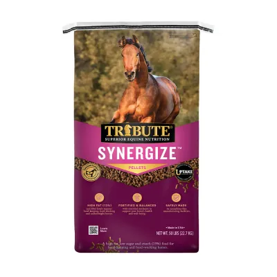 Tribute Synergize Low NSC, High Fat Pelleted Horse Feed, 50 lb bag