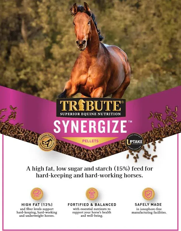 Tribute Synergize Low NSC, High Fat Pelleted Horse Feed, 50 lb bag