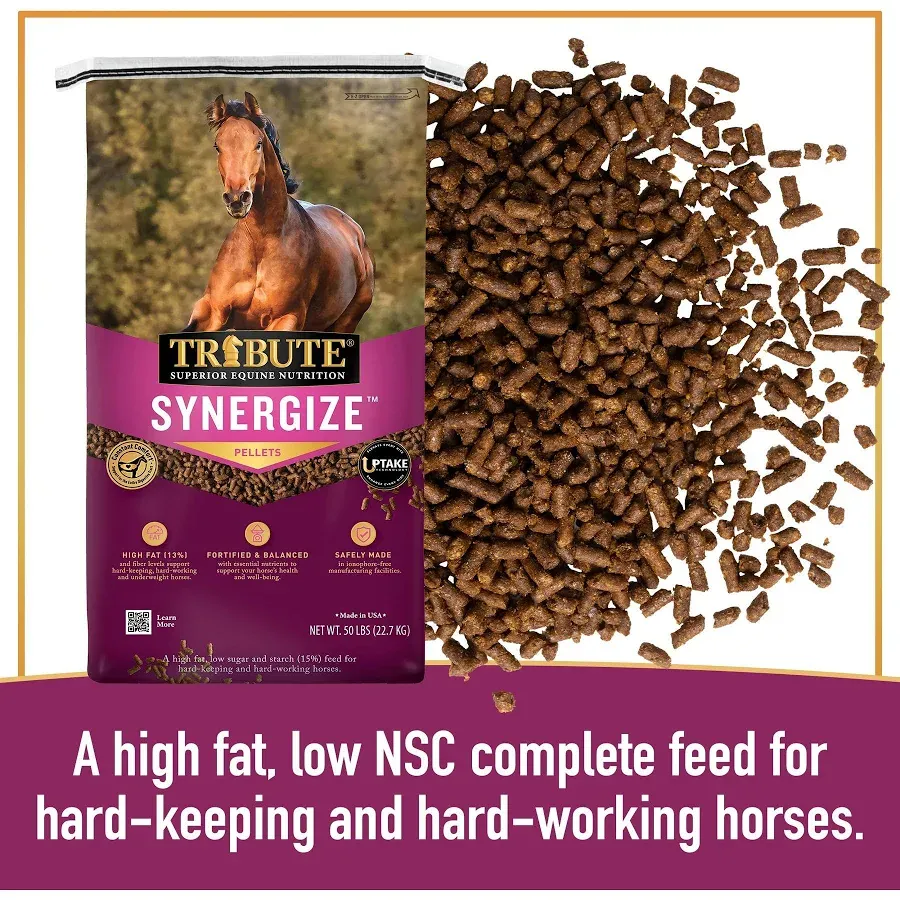 Tribute Synergize Low NSC, High Fat Pelleted Horse Feed, 50 lb bag