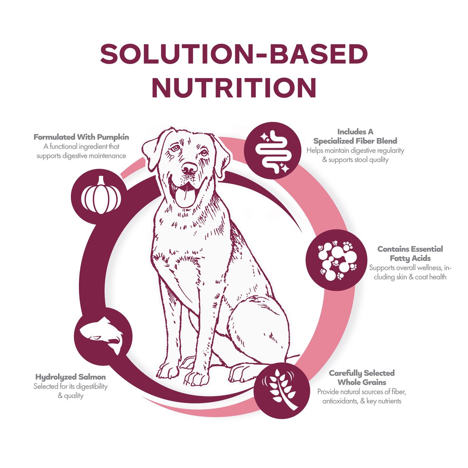 Fromm Nutritionals Sensitive Skin &amp; Stomach Salmon &amp; Whole Oats Dog Dry Food