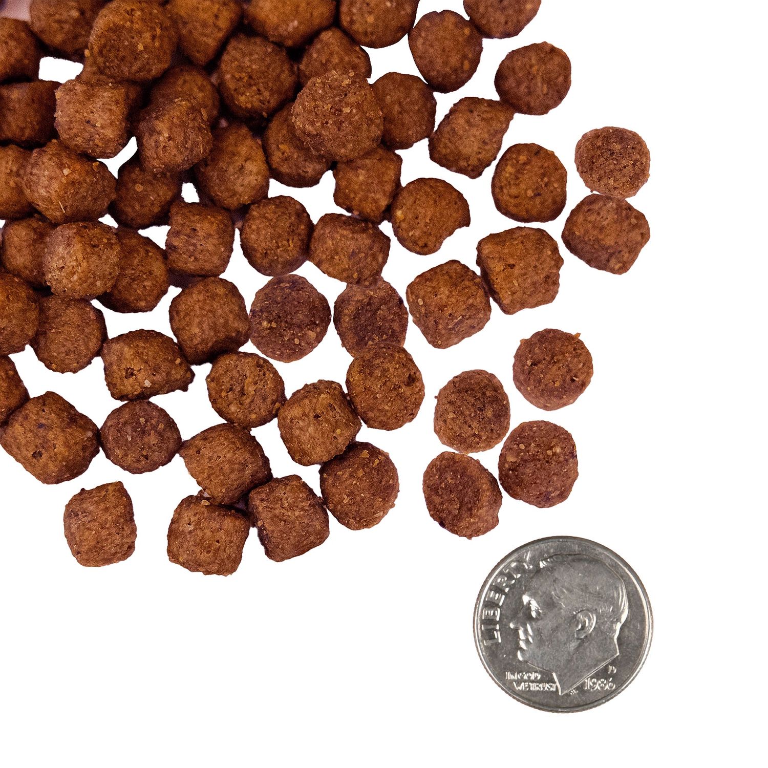 Fromm Nutritionals Sensitive Skin &amp; Stomach Salmon &amp; Whole Oats Dog Dry Food