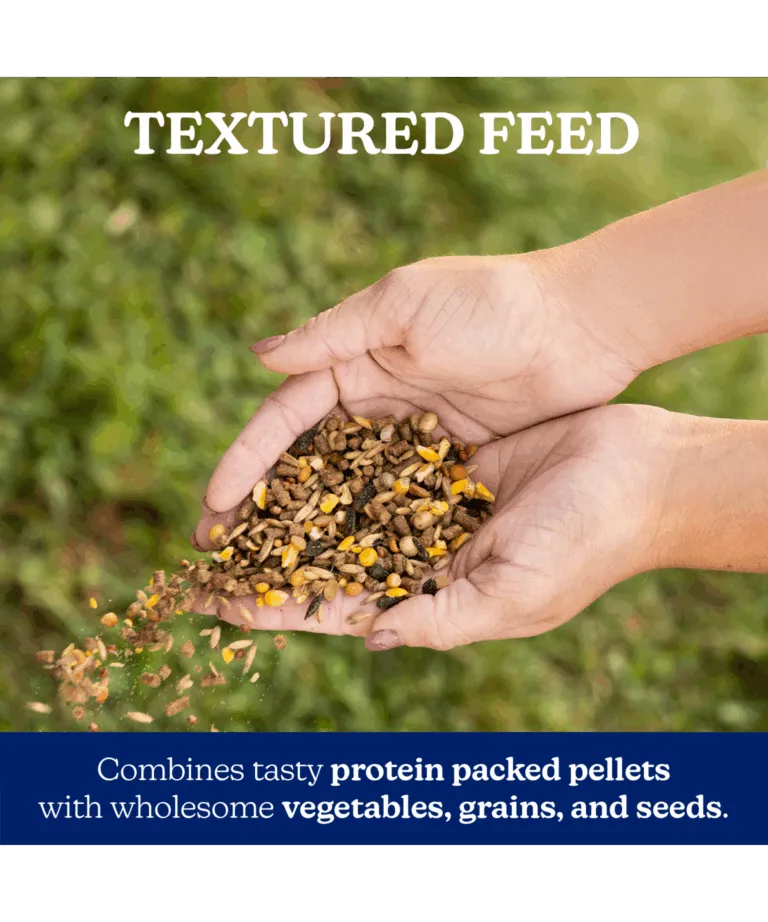 All Flock Textured Feed 21% Protein, 40 lb bag
