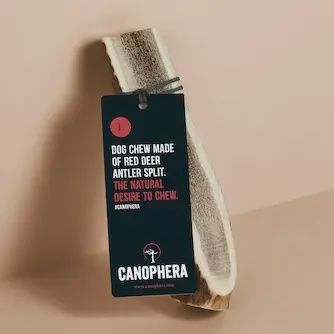 CANOPHERA Red Deer Antlers