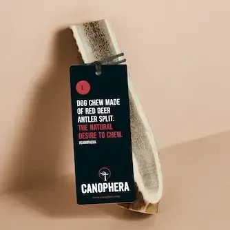 CANOPHERA Red Deer Antlers