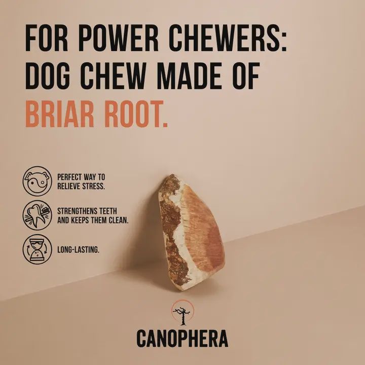 CANOPHERA Briar Root All Natural Dog Chew