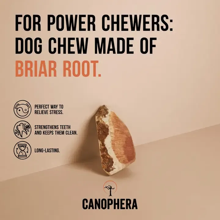 CANOPHERA Briar Root All Natural Dog Chew