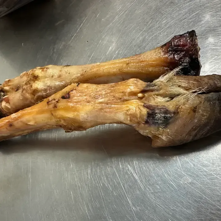 Goat Trotter No Fur