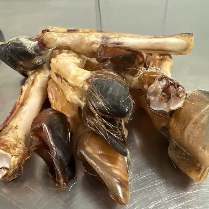 Goat Trotter No Fur